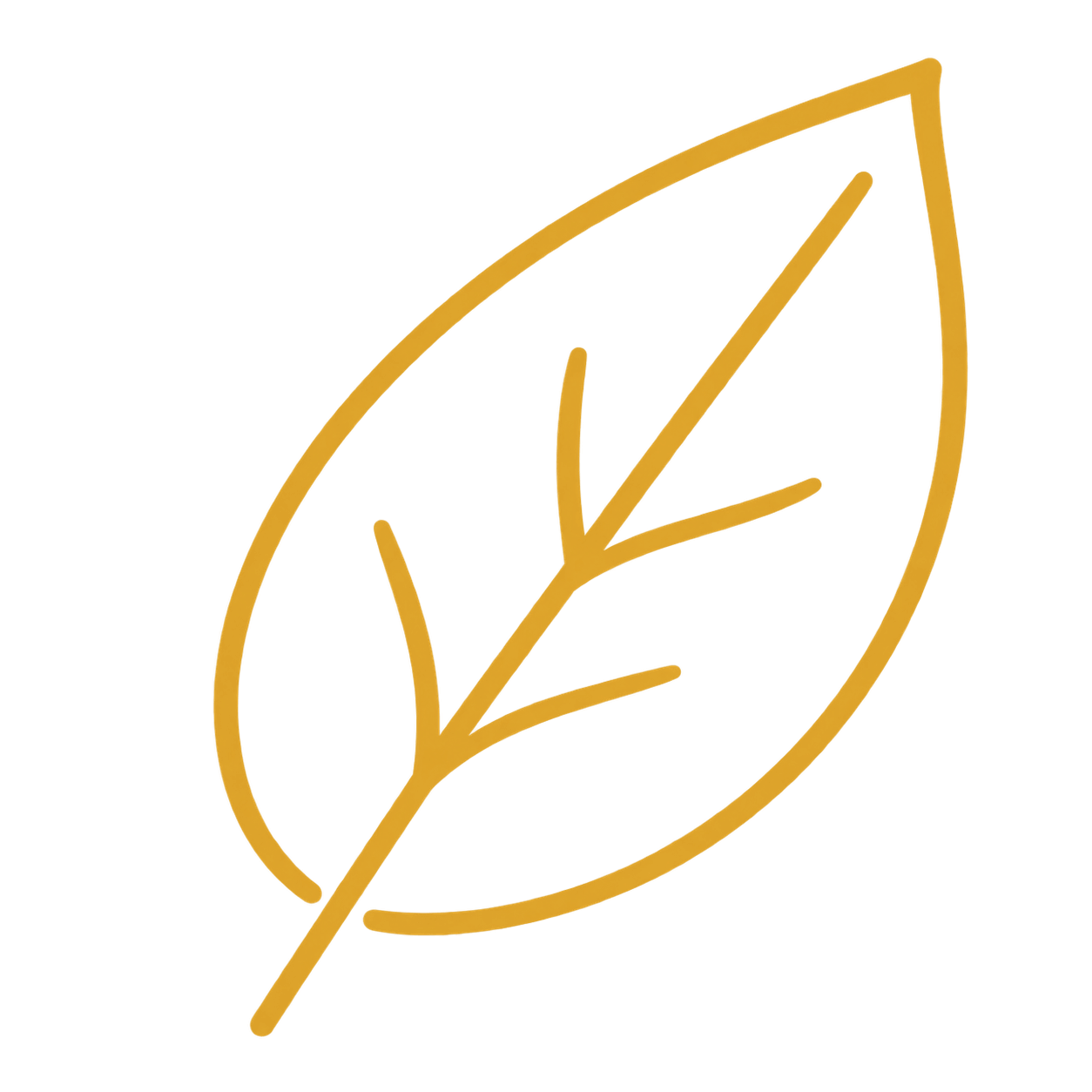 origenes selecionados icono